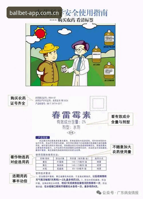 贝博体育平台官网安全吗 贝博体育平台官网安全使用指南:从入门到精通的完整攻略